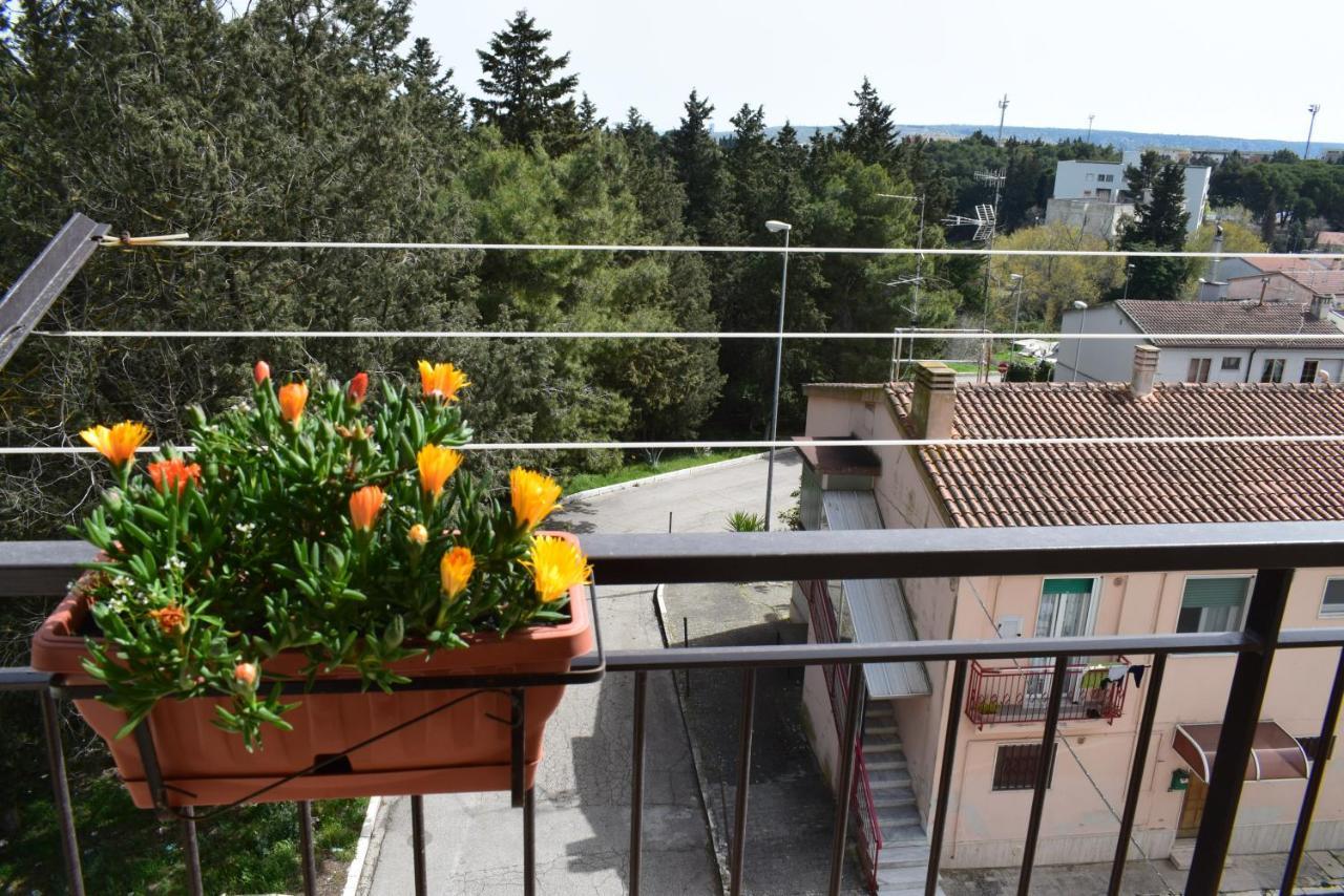 Appartement Domus Silva à Matera Extérieur photo